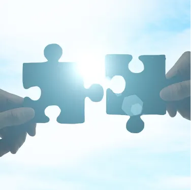 Putting the puzzle together