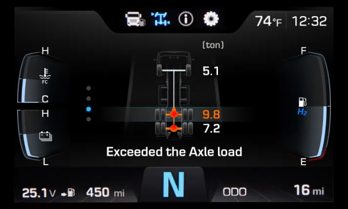 Weight-Distribution Display